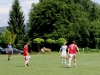 4561_doerfla_kl_118.jpg